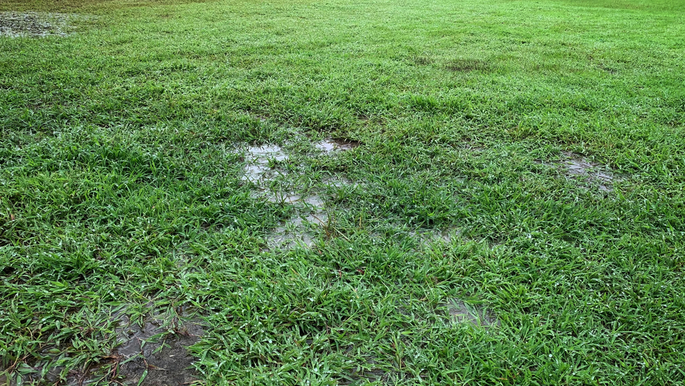 Effective Yard Drainage Solutions: A Guide to Conquer Soggy Lawns