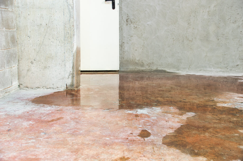 A flooded basement with water pooling on a stained concrete floor near a white door and cinder block wall.